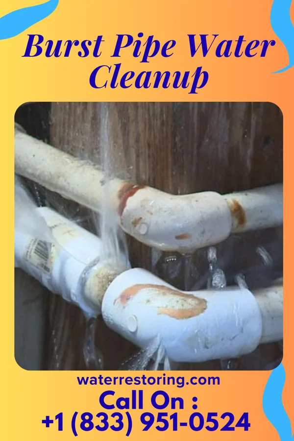 Burst Pipe Water Cleanup in Flying Hills, PA