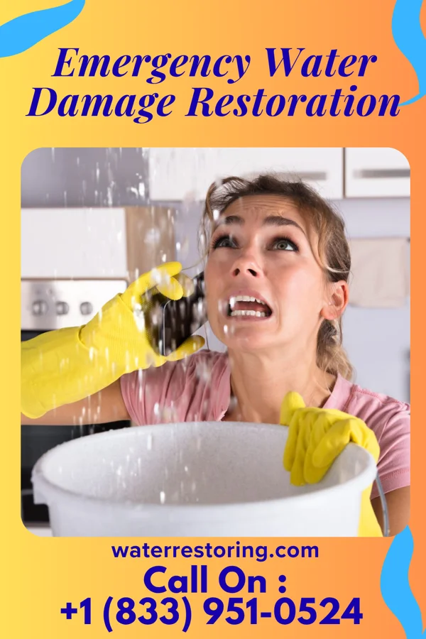 Emergency Water Damage Restoration in Flying Hills, PA