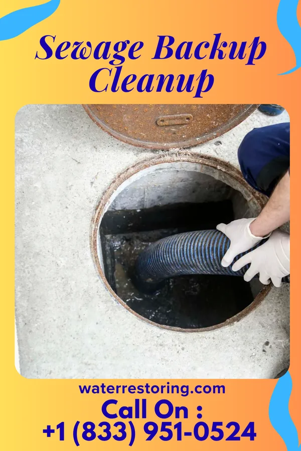 Sewage Backup Cleanup in Flying Hills, PA