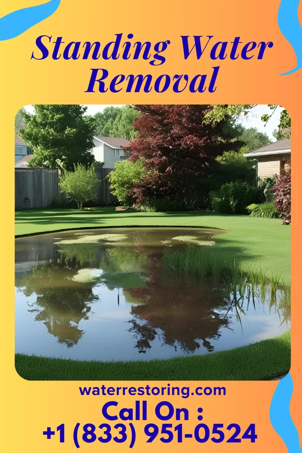 Standing Water Removal in Flying Hills, PA
